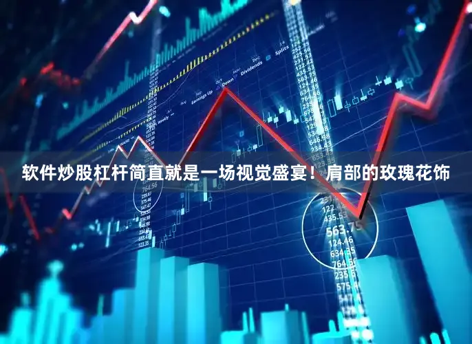 软件炒股杠杆简直就是一场视觉盛宴！肩部的玫瑰花饰
