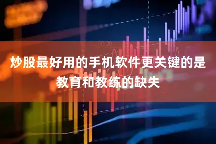 炒股最好用的手机软件更关键的是教育和教练的缺失
